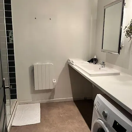 Apartment Loft En Duplex 4 Voyageurs Proche Cathedrale Reims